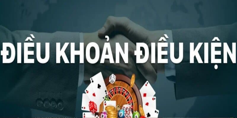 Hiểu đúng về chính sách điều khoản và điều kiện